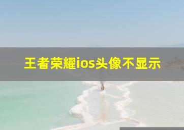 王者荣耀ios头像不显示