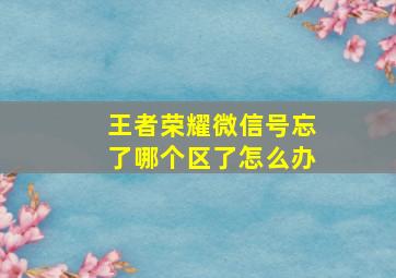 王者荣耀微信号忘了哪个区了怎么办