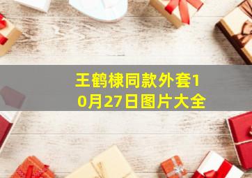 王鹤棣同款外套10月27日图片大全