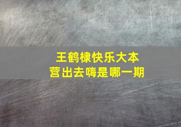 王鹤棣快乐大本营出去嗨是哪一期