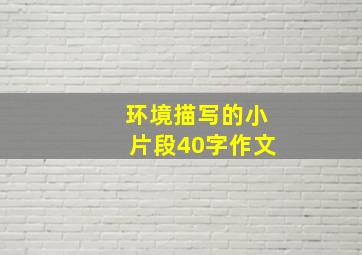 环境描写的小片段40字作文