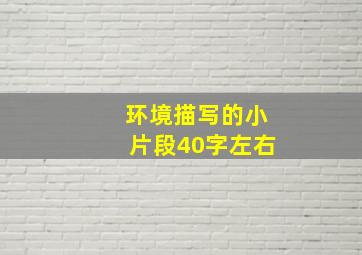 环境描写的小片段40字左右