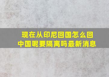 现在从印尼回国怎么回中国呢要隔离吗最新消息