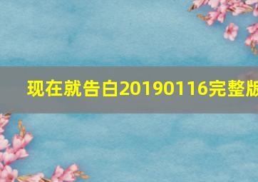 现在就告白20190116完整版