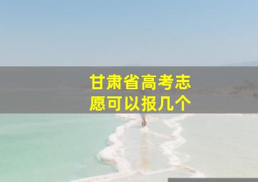 甘肃省高考志愿可以报几个