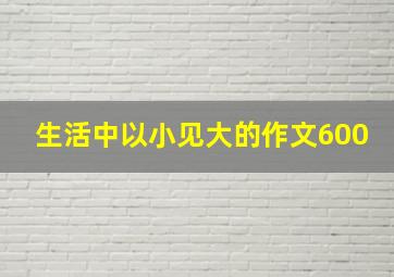 生活中以小见大的作文600