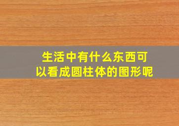 生活中有什么东西可以看成圆柱体的图形呢