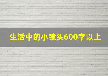 生活中的小镜头600字以上