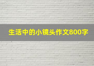 生活中的小镜头作文800字