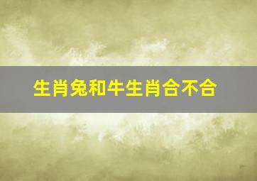 生肖兔和牛生肖合不合