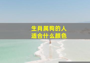 生肖属狗的人适合什么颜色