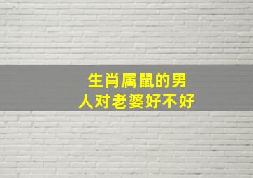 生肖属鼠的男人对老婆好不好