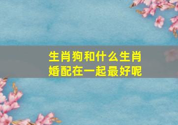 生肖狗和什么生肖婚配在一起最好呢