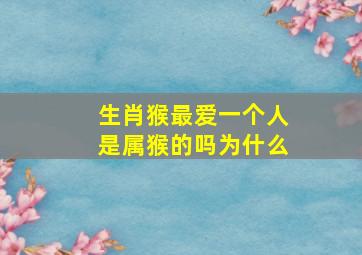 生肖猴最爱一个人是属猴的吗为什么