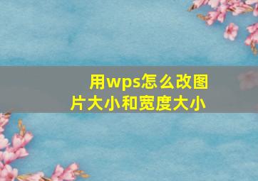 用wps怎么改图片大小和宽度大小