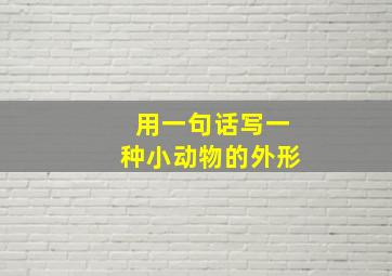 用一句话写一种小动物的外形