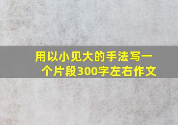 用以小见大的手法写一个片段300字左右作文