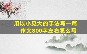 用以小见大的手法写一篇作文800字左右怎么写