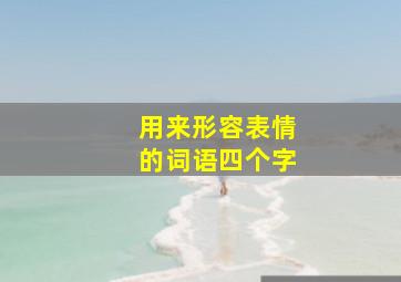 用来形容表情的词语四个字