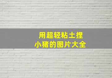 用超轻粘土捏小猪的图片大全