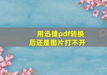 用迅捷pdf转换后还是图片打不开