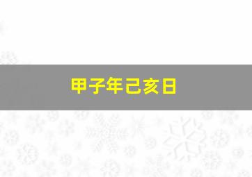 甲子年己亥日