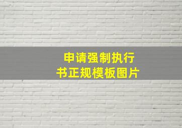 申请强制执行书正规模板图片