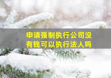 申请强制执行公司没有钱可以执行法人吗