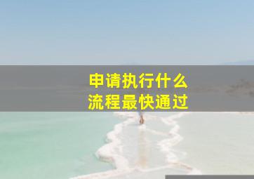 申请执行什么流程最快通过