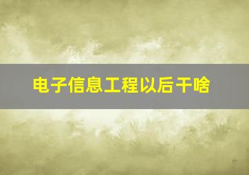 电子信息工程以后干啥