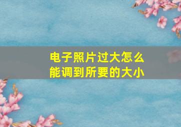 电子照片过大怎么能调到所要的大小