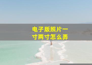 电子版照片一寸两寸怎么弄