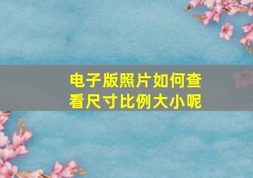 电子版照片如何查看尺寸比例大小呢