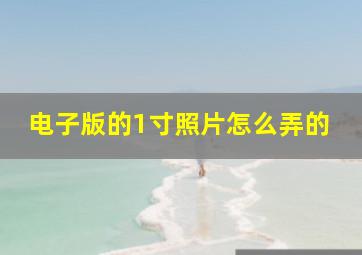 电子版的1寸照片怎么弄的