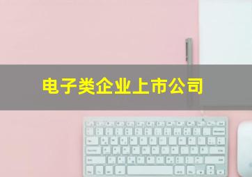 电子类企业上市公司