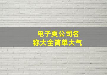 电子类公司名称大全简单大气