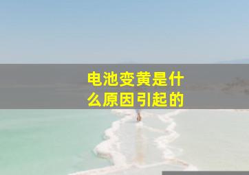 电池变黄是什么原因引起的