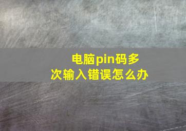 电脑pin码多次输入错误怎么办