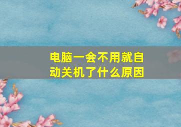 电脑一会不用就自动关机了什么原因