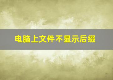 电脑上文件不显示后缀