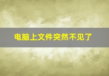 电脑上文件突然不见了