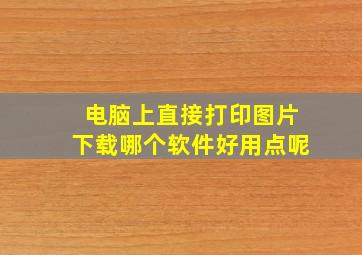 电脑上直接打印图片下载哪个软件好用点呢