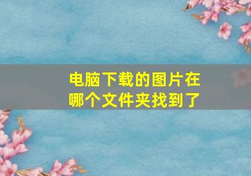 电脑下载的图片在哪个文件夹找到了