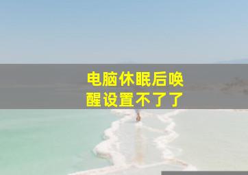 电脑休眠后唤醒设置不了了