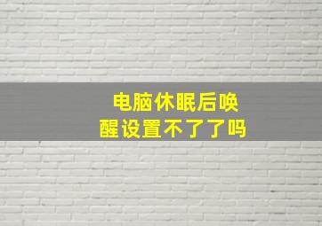 电脑休眠后唤醒设置不了了吗