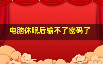 电脑休眠后输不了密码了