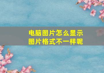 电脑图片怎么显示图片格式不一样呢