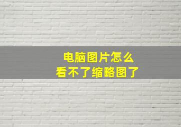 电脑图片怎么看不了缩略图了