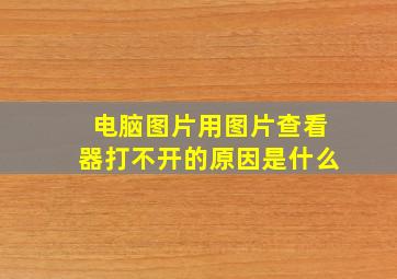 电脑图片用图片查看器打不开的原因是什么