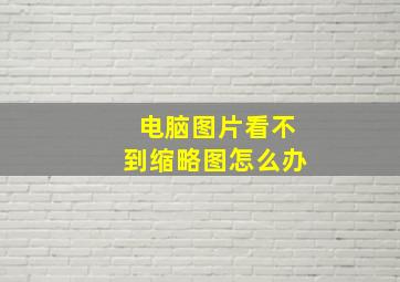 电脑图片看不到缩略图怎么办